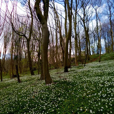 Дом отдыха Ostseestrandhus - Бабе
